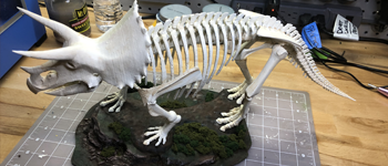 Triceratops Skeleton